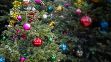 plus beaux sapins de Paris