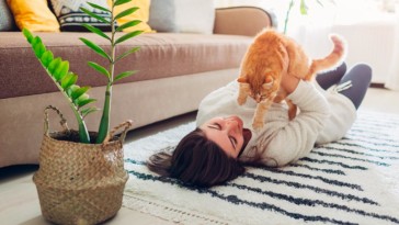 chat à paris