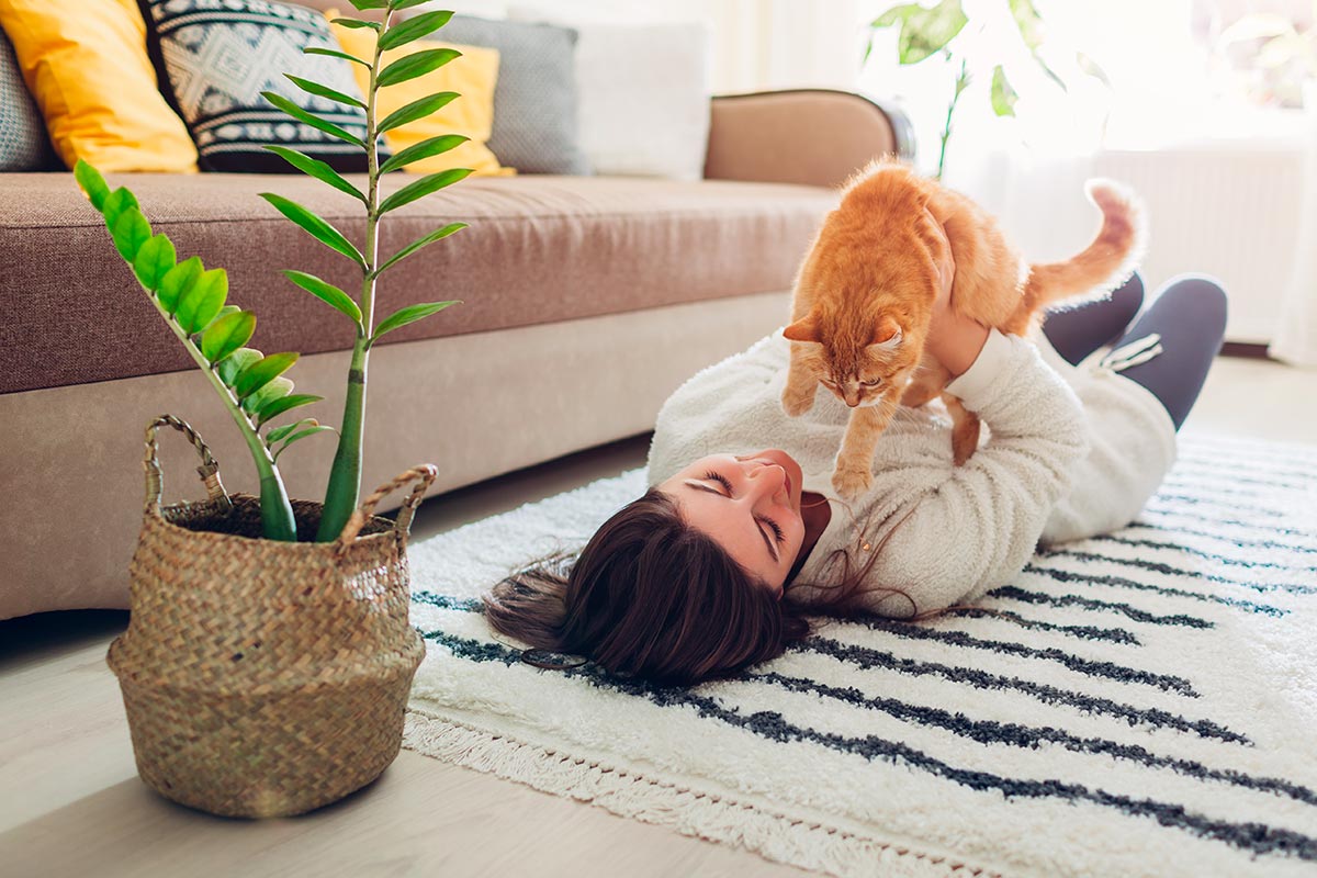 chat à paris