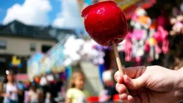 La grande fête foraine de la Cité Fertile est de retour