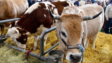 que faire à Paris le premier week-end du mois de mars