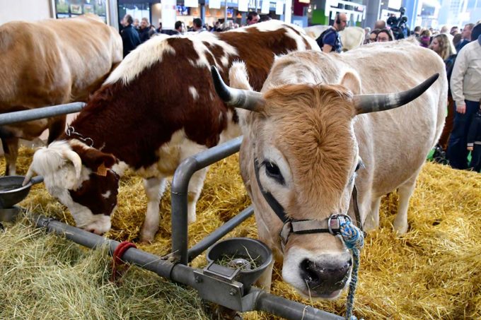 que faire à Paris le premier week-end du mois de mars