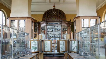 musee pharmacie