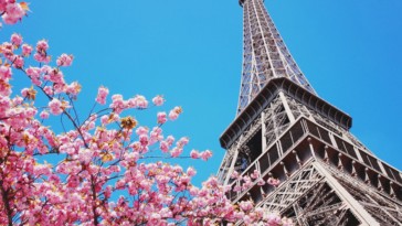 cette célèbre terrasse éphémère japonaise rouvre ses portes juste en face de la tour eiffel !