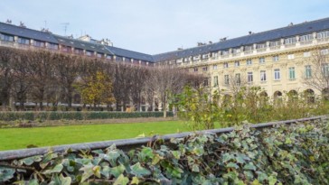 découvrez un tout nouvel univers en assistant à un concert à la bougie au palais royal