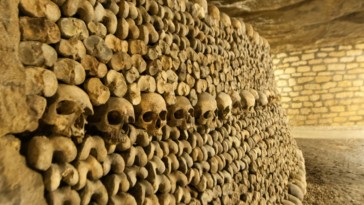 comment habiller catacombes