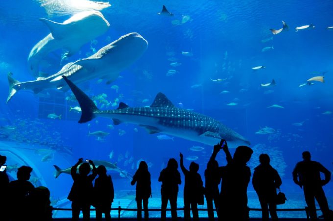 se garer aquarium paris