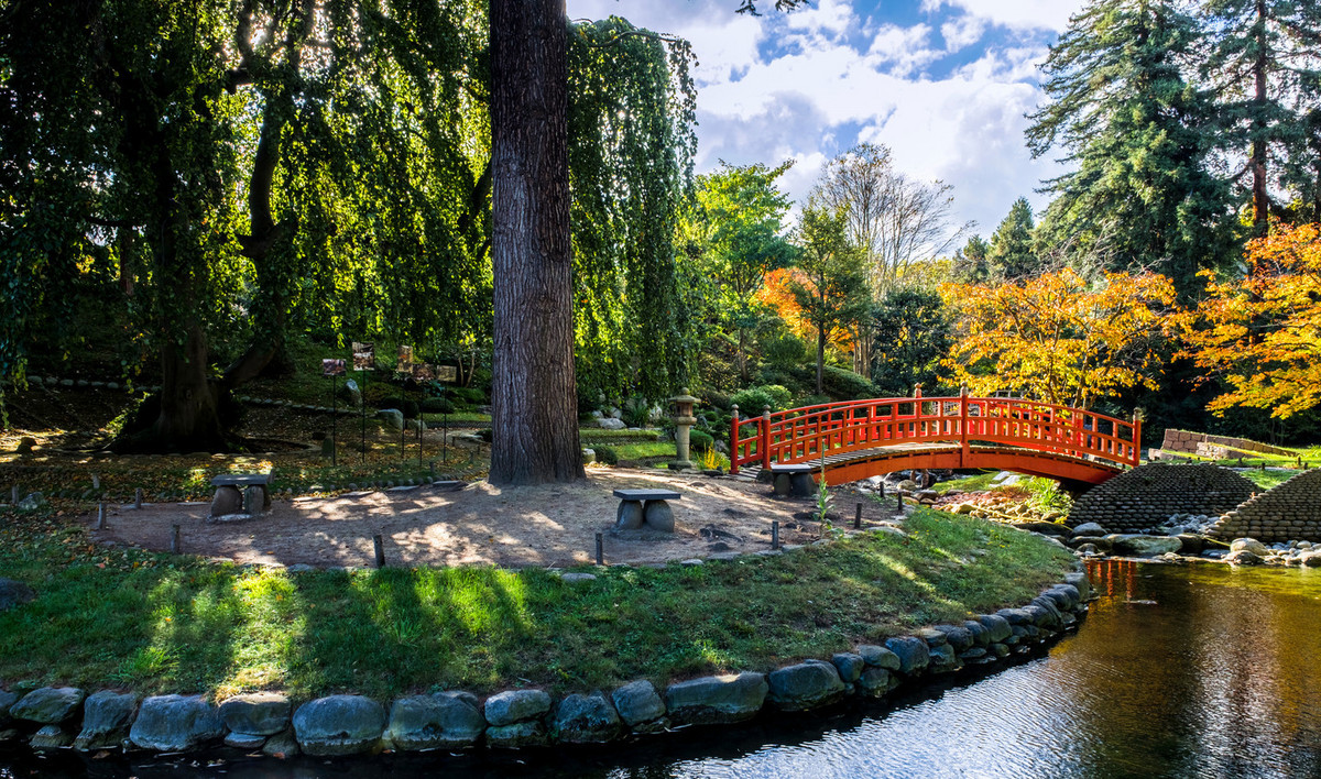 jardin japonais albert kahn