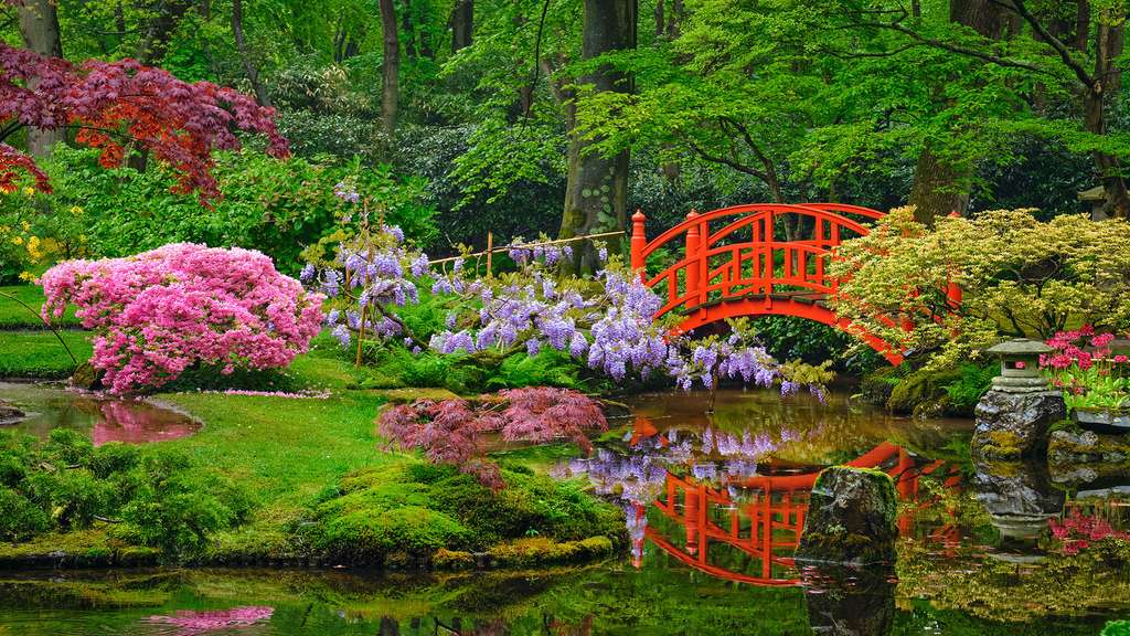 jardin japonais paris