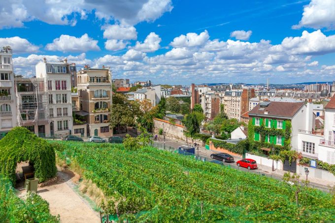 fete vendanges montmartre 2023