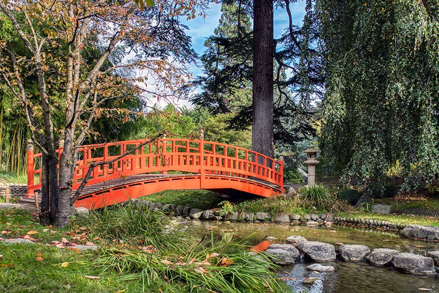 jardin japonais musee albert kahn