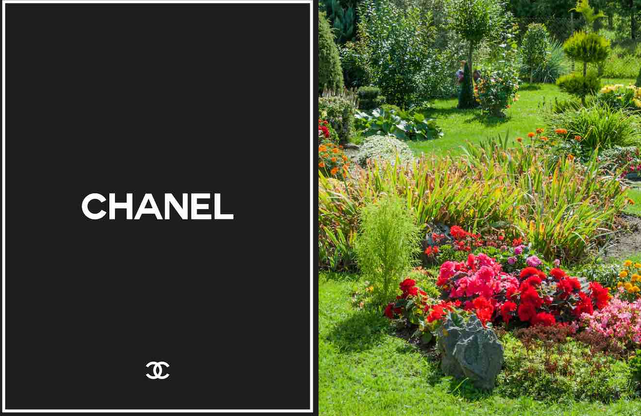 jardin chanel