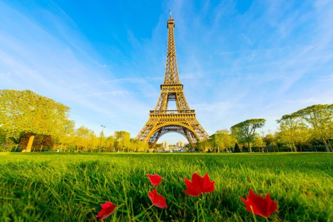 arbres-paris