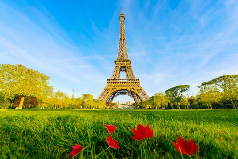 arbres-paris