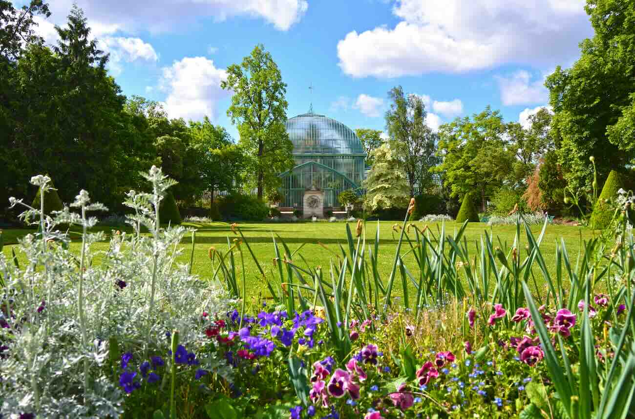 serres d'auteuil