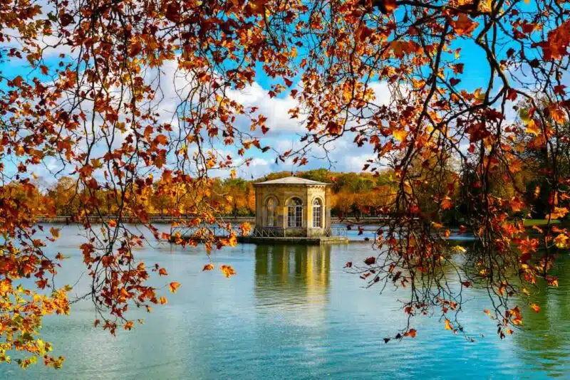 fontainebleau-automne